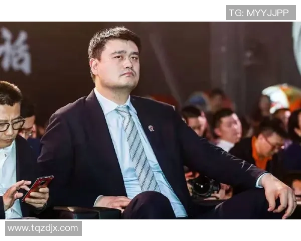 钻石姚明数值解析与篮球影响力的深度探讨